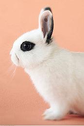 死了就清零重开的生存游戏《沙盒与副本：英勇之地》这谁受得了